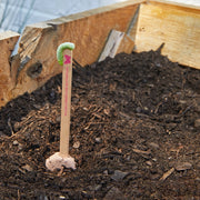 Garden Seed Pops - Organic Seeds