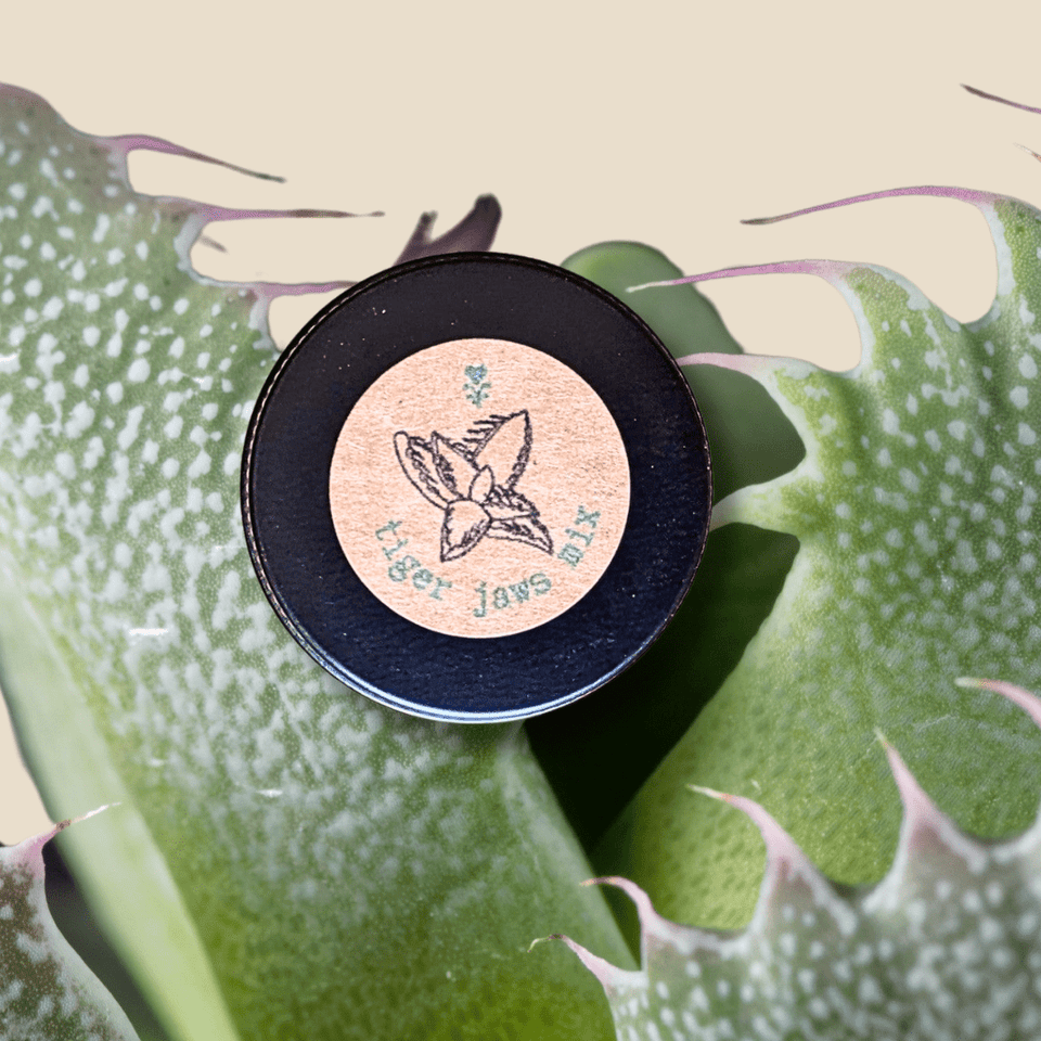 Faucaria &
