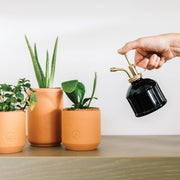 Plant Mister