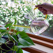 Glass Watering Can – 32 fl oz