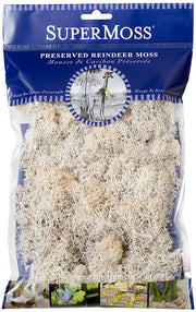 Reindeer Moss Preserved 2oz bags – White