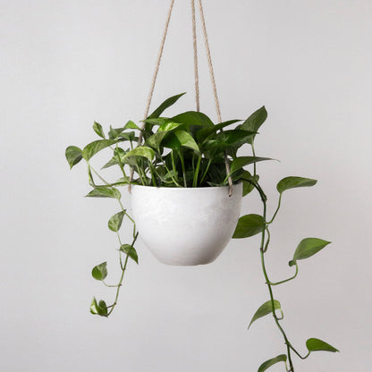8"  Signature Stone Hanging Planter Pot