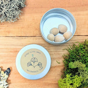 Ginkgo Biloba 'Maidenhair Tree' Seeds