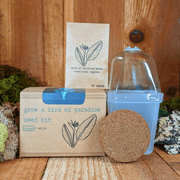 Grow a Bird of Paradise Plant Seed Kit