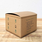Grow a Coleus Seed Kit