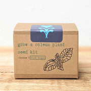 Grow a Coleus Seed Kit