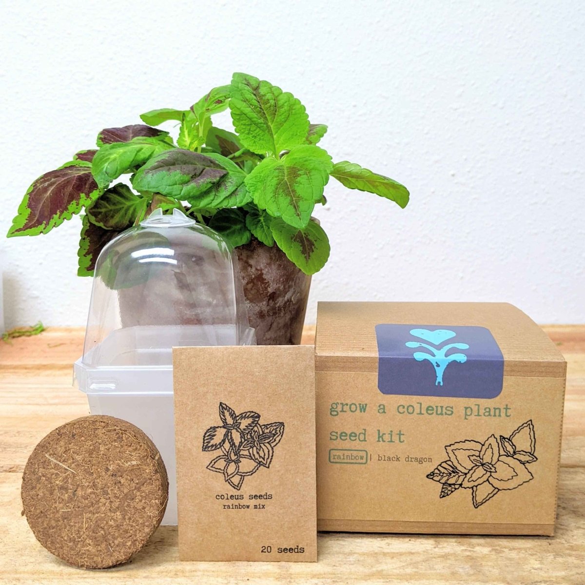 Grow a Coleus Seed Kit