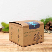 Grow a Philodendron Seed Kit