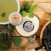 Lemon Balm Seeds