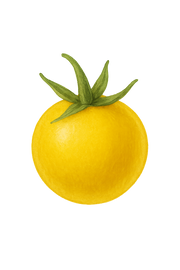 Honey Drop Tomato Seeds - Heirloom Sweet Yellow Cherry, 10-100 Count