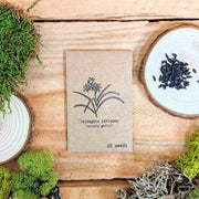 "Houseplant Newbie" Houseplant Seed Collection