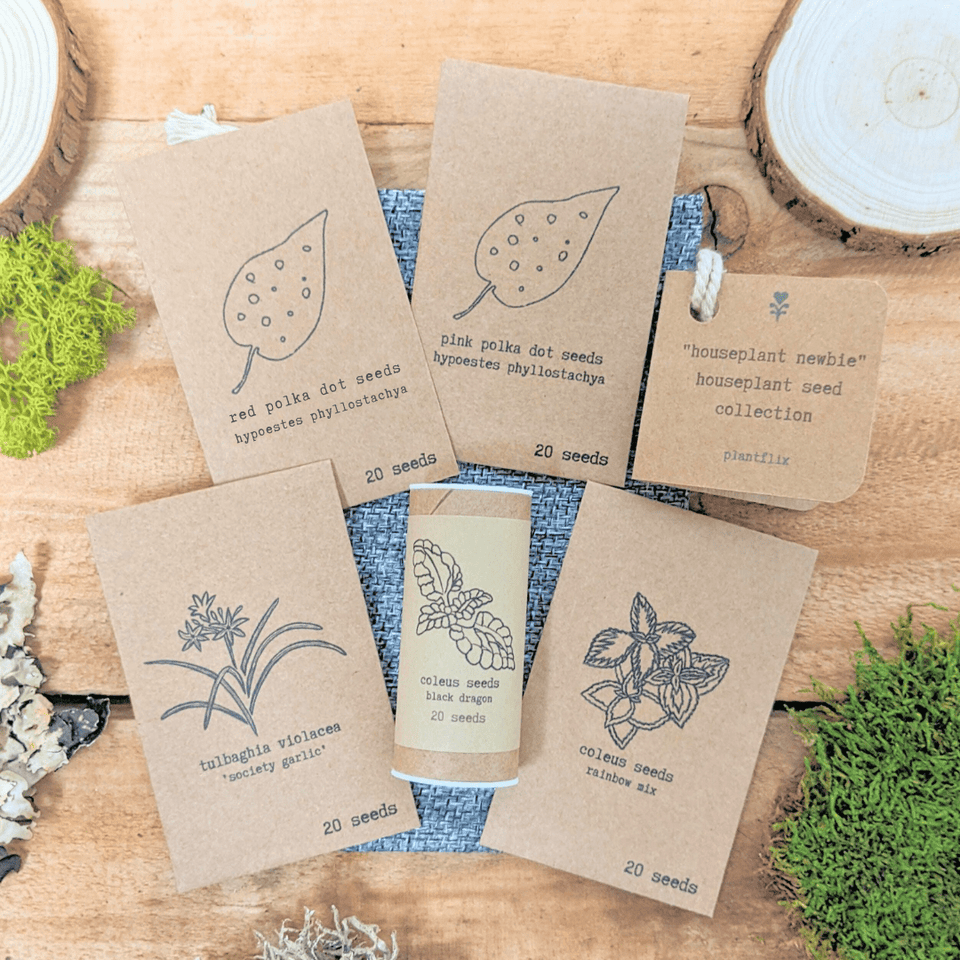 "Houseplant Newbie" Houseplant Seed Collection