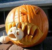 Jack O' Lantern Pumpkin Seeds