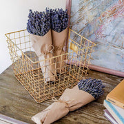 Dried Lavender Bundle – Lavender Gift for Her, Hand Wrapped California Lavender Bouquet