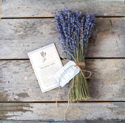 Dried Lavender Bundle – Lavender Gift for Her, Hand Wrapped California Lavender Bouquet