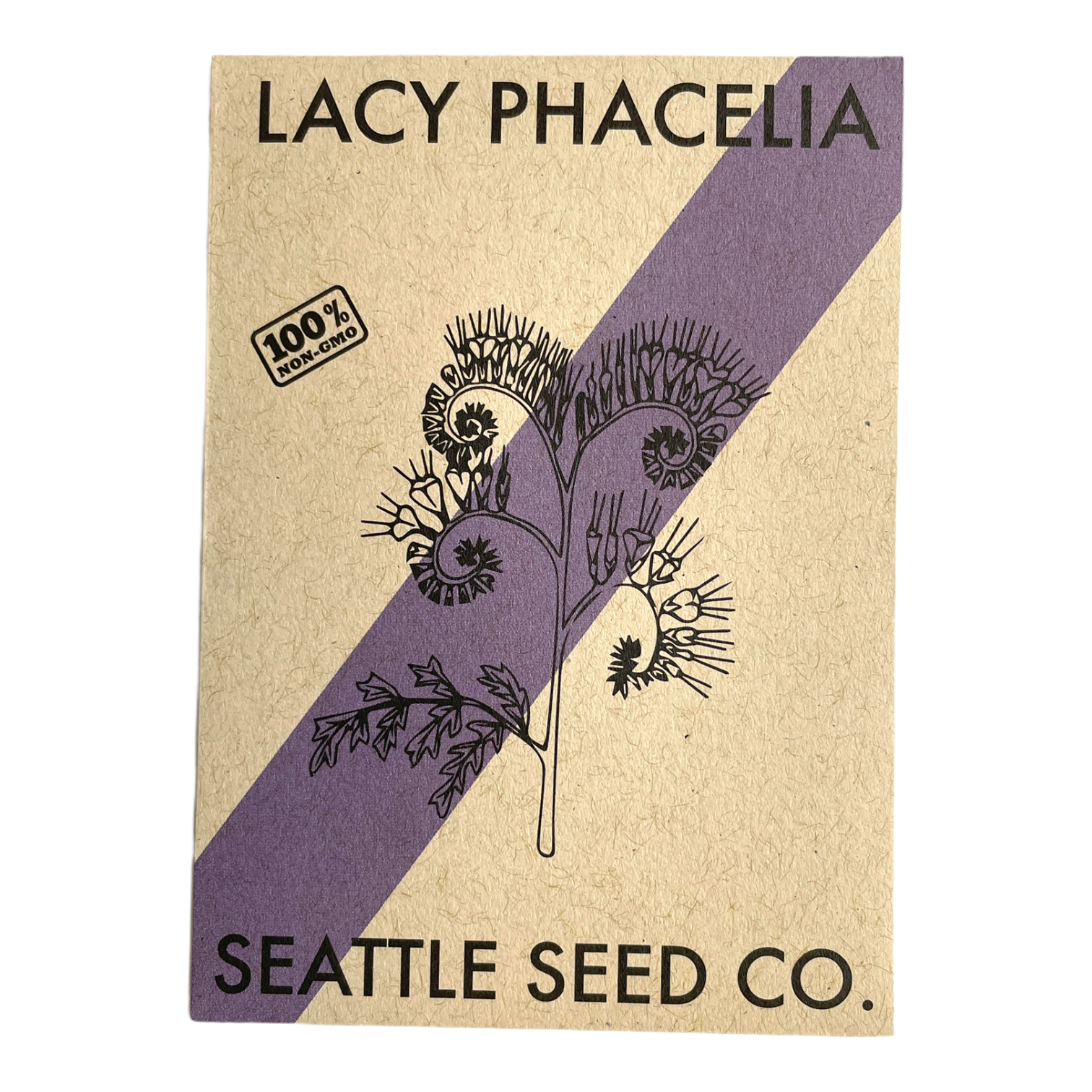 Lacy Phacelia Seeds