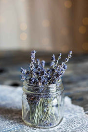 Lavender Seeds