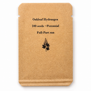 Oakleaf Hydrangea Seeds – Hydrangea quercifolia – Native Flowering Shrub – 100 Seeds – Zones 5–9