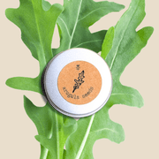Organic Arugula Seeds