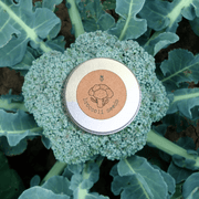 Organic Broccoli Seeds