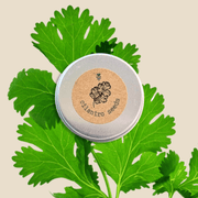 Organic Cilantro Seeds