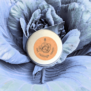 Organic Red Cabbage Seeds