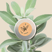 Organic Sage Seeds