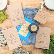 "Pet-Friendly" Houseplant Seed Collection