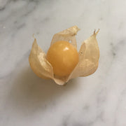 Pineapple Ground Cherry Seeds – Heirloom Husk Cherry, Sweet Tropical Flavor, 25 Count