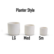 Webbing Planters