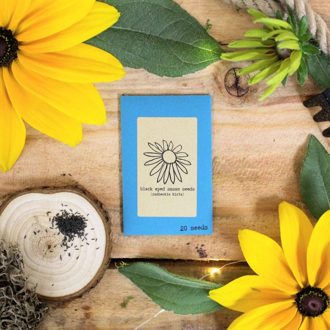 Rudbeckia Hirta "Black Eyed Susan" Seeds