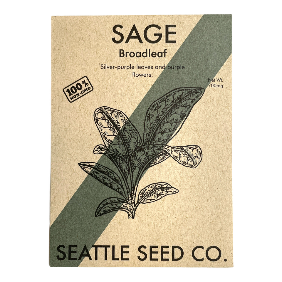 Broadleaf Sage Seeds