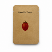 Prairie Fire Tomato Seeds – Striped Slicer, Sweet Flavor, 10–100 Seeds, Annual