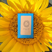 Sunspot Sunflower Seeds