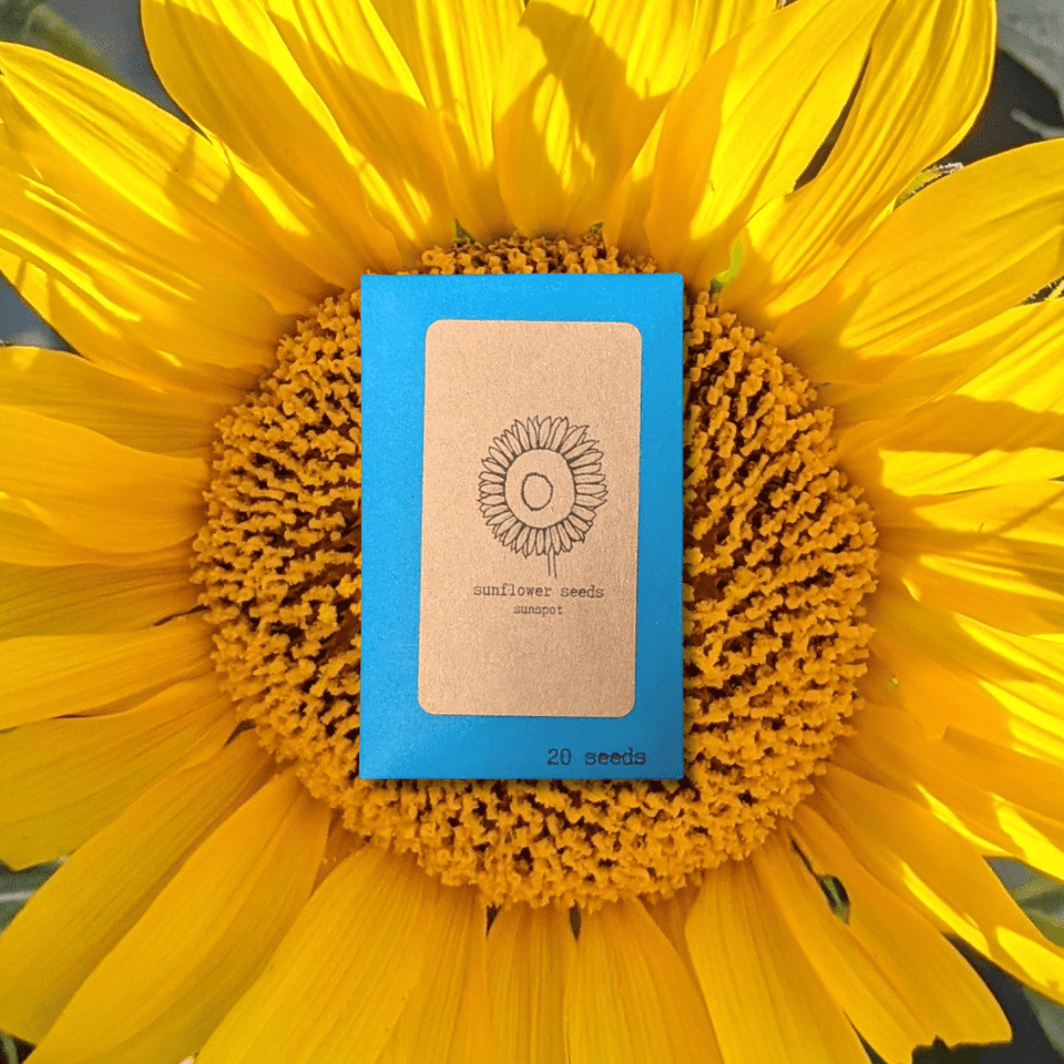 Sunspot Sunflower Seeds